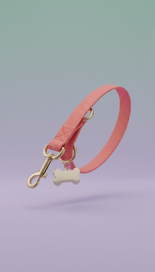 Customizable Leash with Name Tag